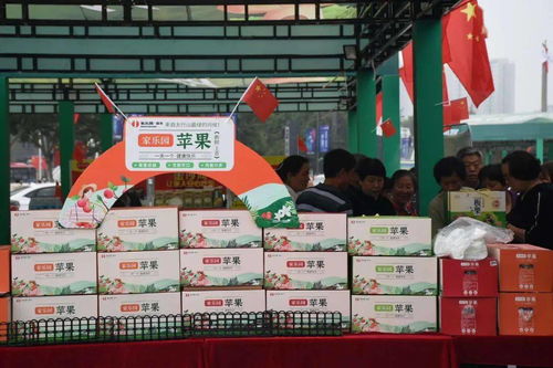 邢臺農(nóng)特產(chǎn)品熱銷，正餐服務(wù)助推地方經(jīng)濟(jì)