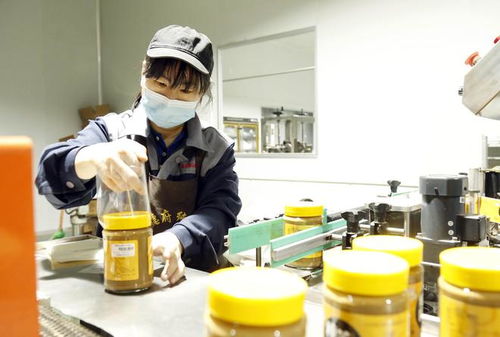 家門口的增收密碼 河北邢臺“微工廠”點燃正餐服務就業新引擎