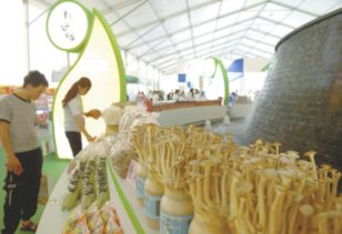 規模大、檔次高、印象深 打造邢臺農產品新形象的“正餐服務”之道